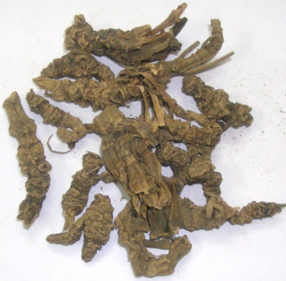 Tagar Valeriana Wallichii