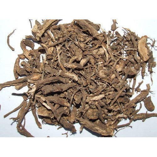 Organic COLEUS FORSKOHLII Coleus Roots