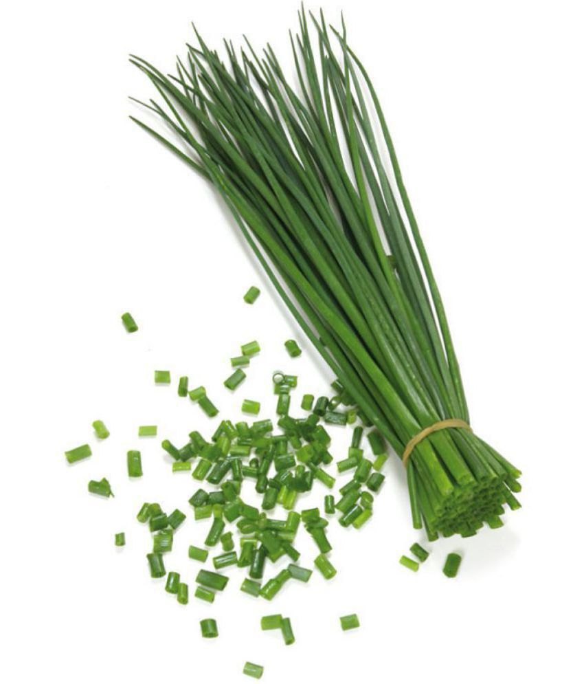 FD CHIVES POWDERS