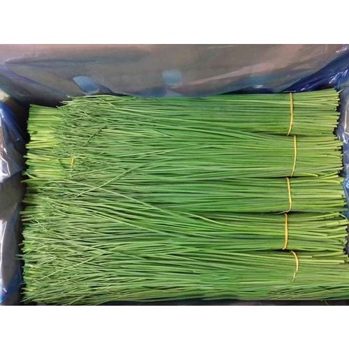 Chives