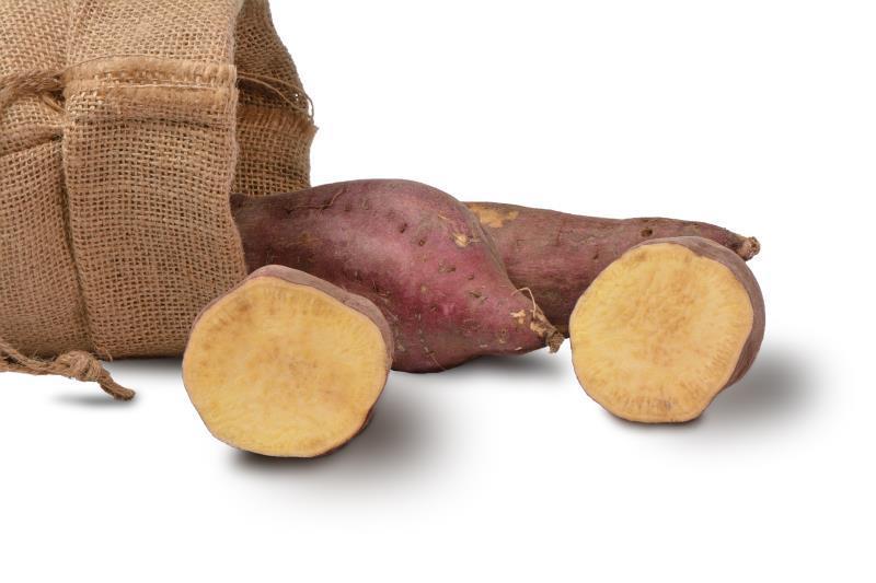 Wild Yam Extract