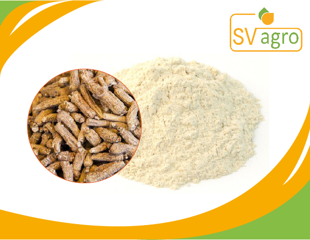 Panax Ginseng Powder