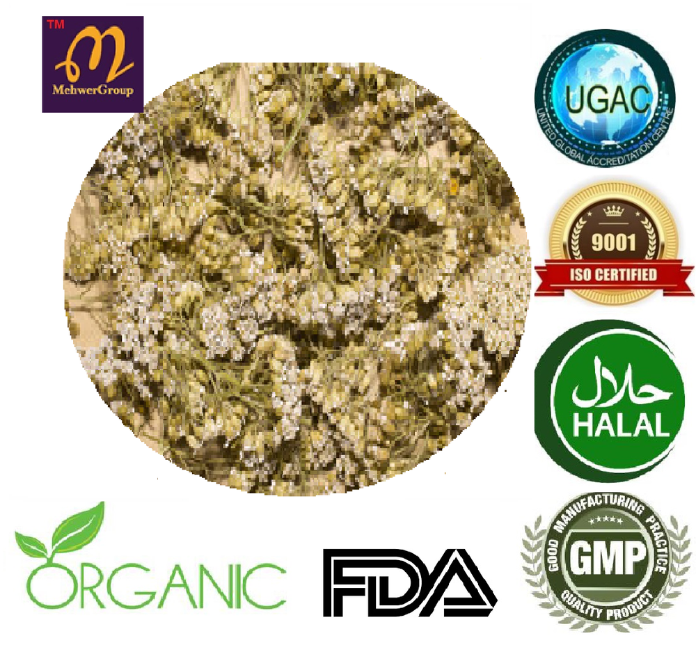 achillea millefolium Brown Organic Yarrow Herb