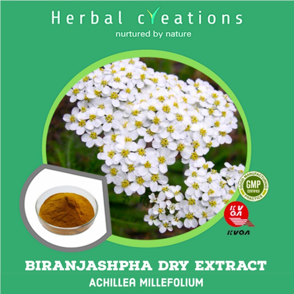 Biranjashifa Dry Extract Achillea Millefolum, Packaging Type: HDPE Drum