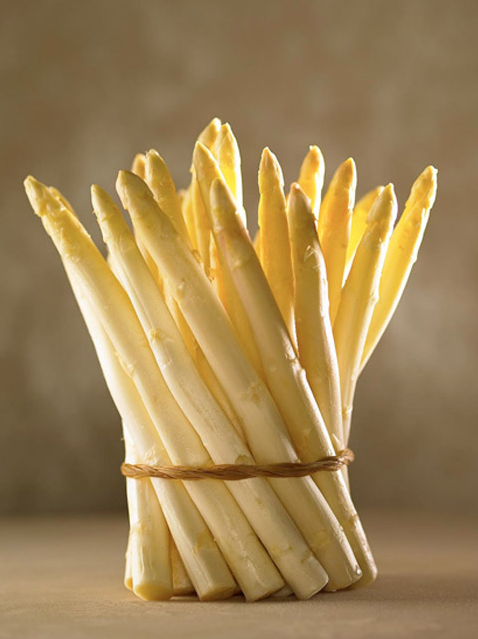 Fresh White Asparagus