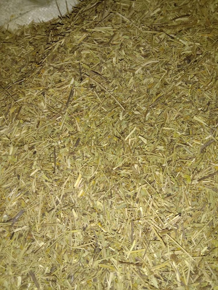 Crushed Senna Stems, Packaging Type: Loose