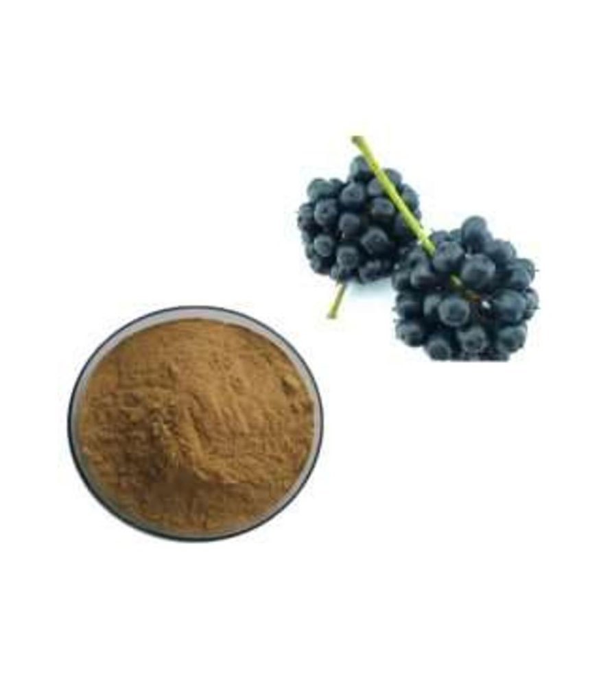 Siberian Ginseng Extract Powder