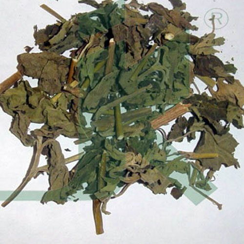 Pogostemon Patchouli / Patchouli Leaves