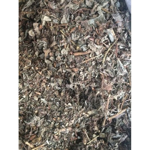 Dried Patchouli Leaves, Packaging: 10 - 20 kg