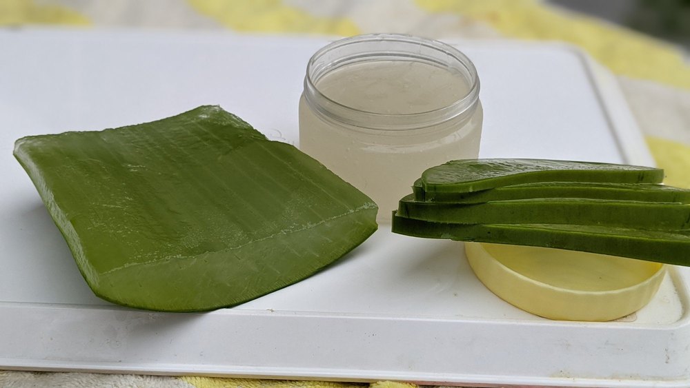 Aloe Vera, Packaging Size: Plastic Bag