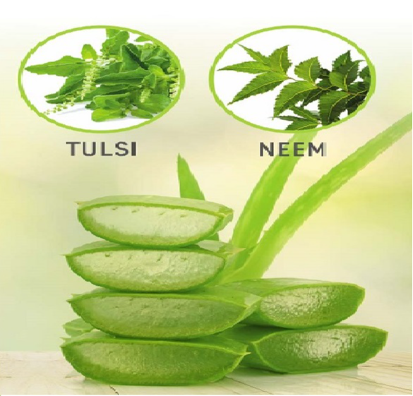 Neem & Tulsi Aloe Vera, Packaging Size: 2 kg Jar