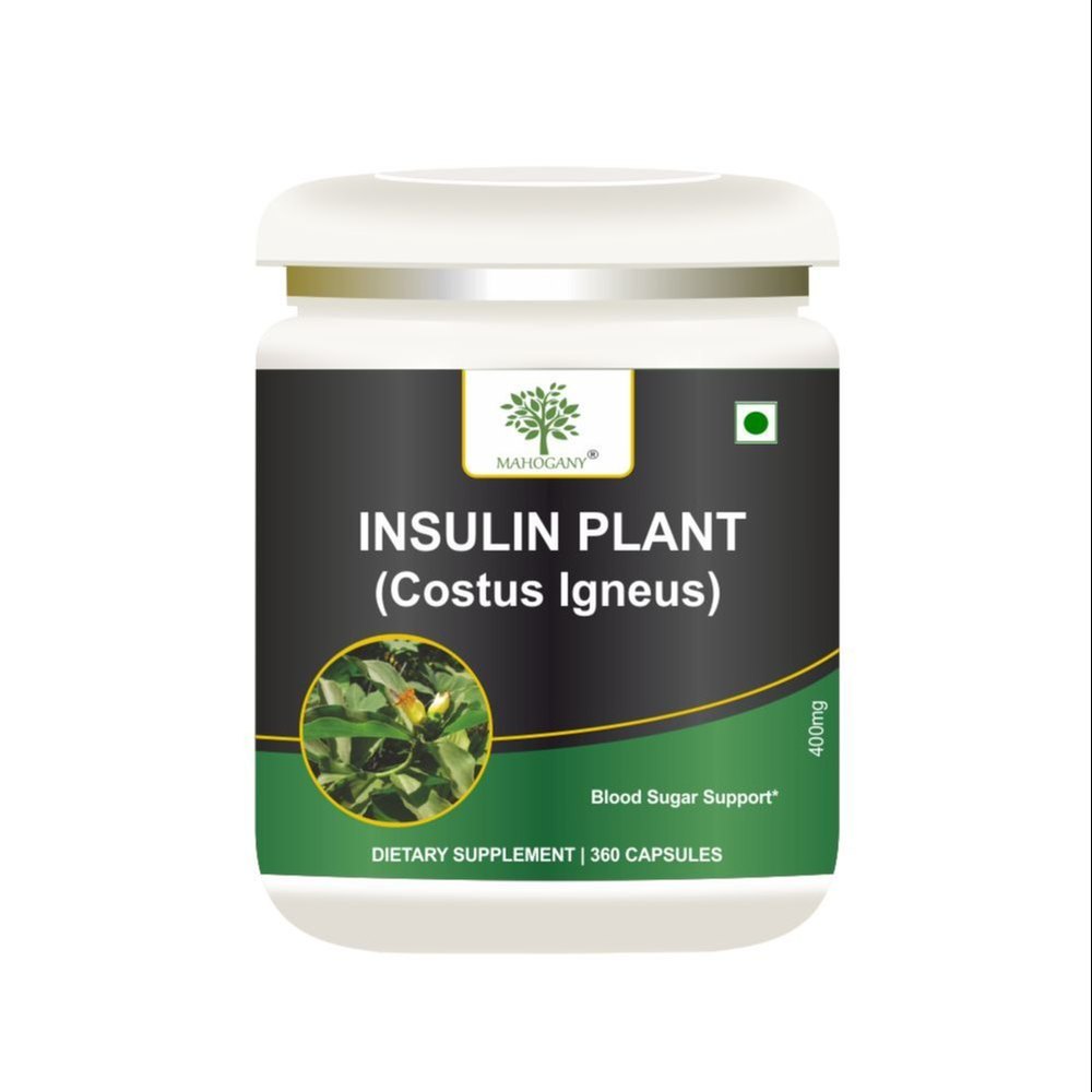 Insulin plant powder 360 capsules