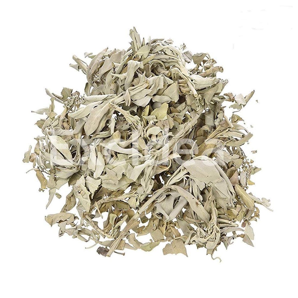 Sage Leaves - Salvia officinalis