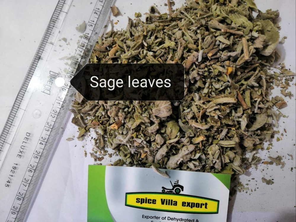 Sage Leaves Tea / Sage Leaves, Packaging Type: Box, Packaging Size: 1 To 10 KG
