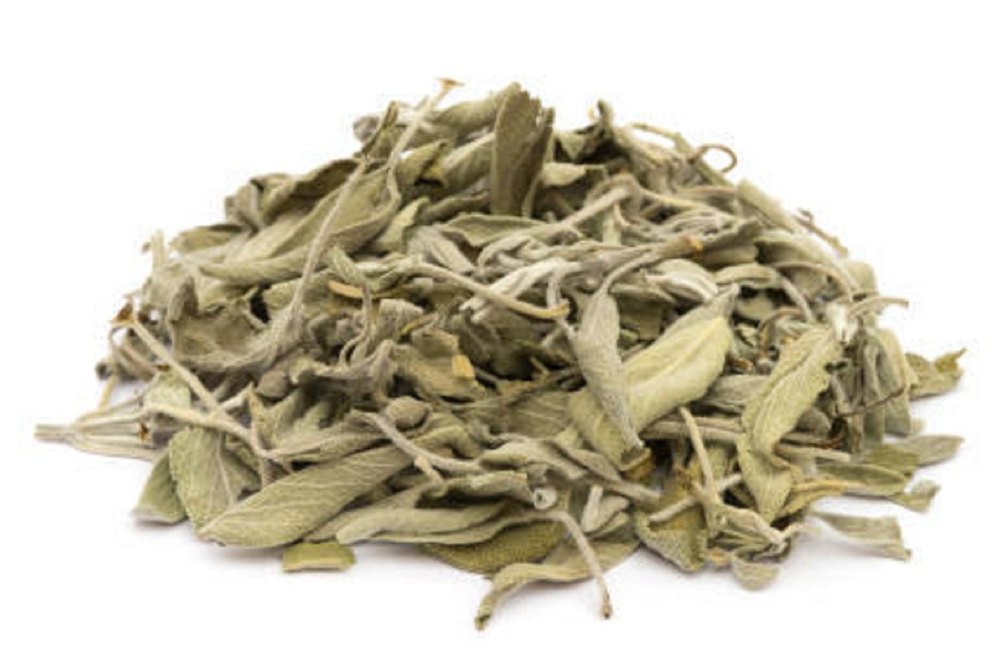 Green Dried Sage Herb, Packaging Type: HDPE Bag, Packaging Size: 20 kg