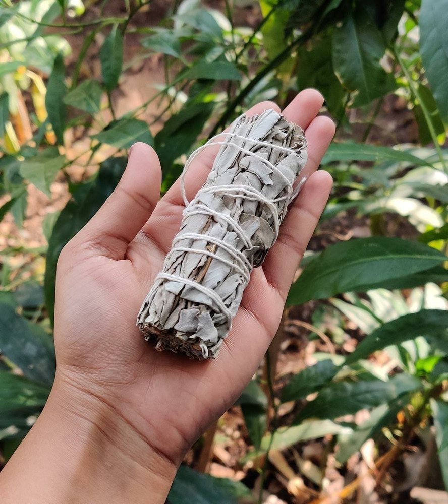Natural California Sage For Cleansing Crystal And Charging Them, Packaging Type: Packet