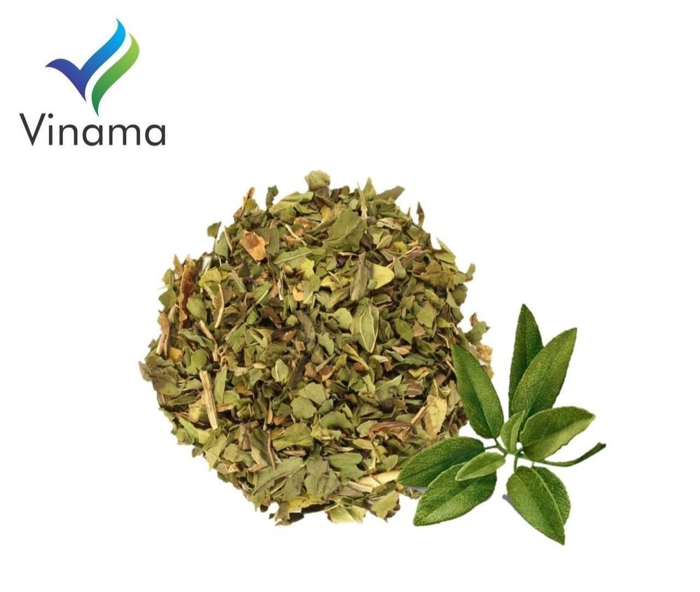 Greenish Dried Sage Herbs, Packaging Type: Loose