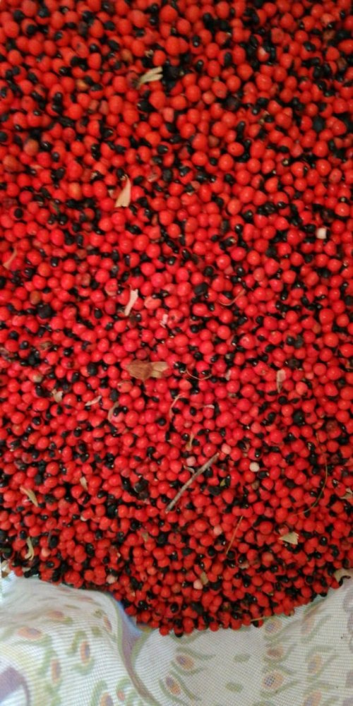 Red And Black Lal Chanothi Seed, For Ayurvedic, Packaging Size: 50 KG