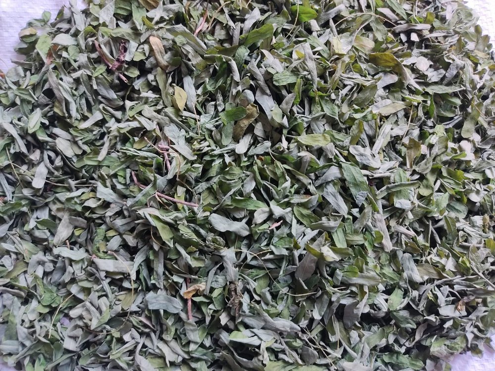 Green Dry Abrus Precatorius Leaves, Loose