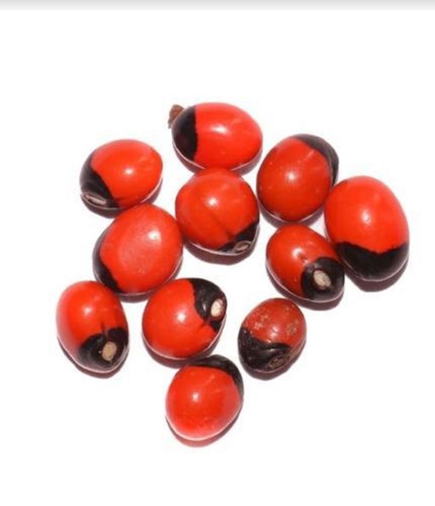 Red And Black Abrus Precatorius Seeds