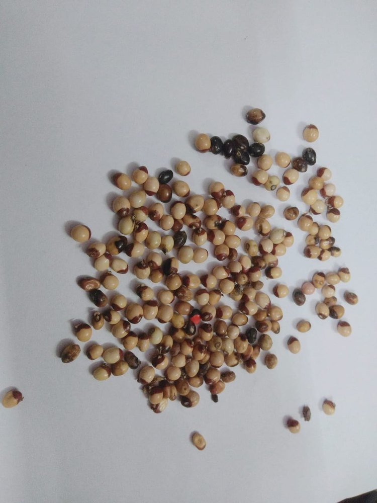 Dry Chirmati Safed, Packaging Type: Loose