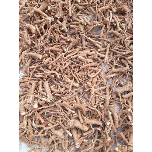 Medicine Grade Brown Natural Punarnava Roots, Packaging Type: Packet