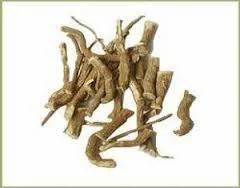 Bhagvati Herbal Boerhaavia Diffusa Extract (Punarnava ), Packaging Size: 25 Kg