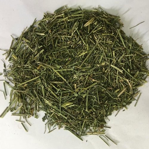 Green Andrographis Paniculata, Packaging Type: Jute Bag, Packaging Size: 25 Kg