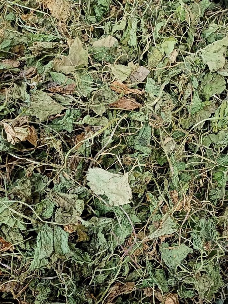 Centella Asiatica Mandukaparni, Packaging Type: Loose