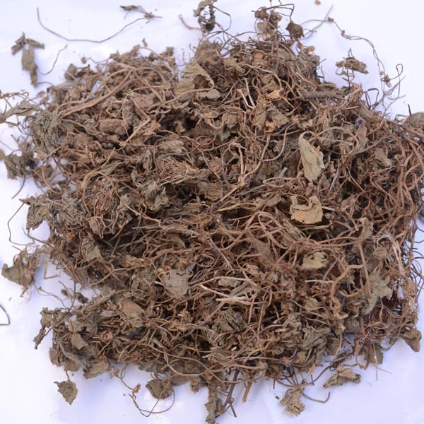 Centella Asiatica, 50, Packaging Type: Pp Bag