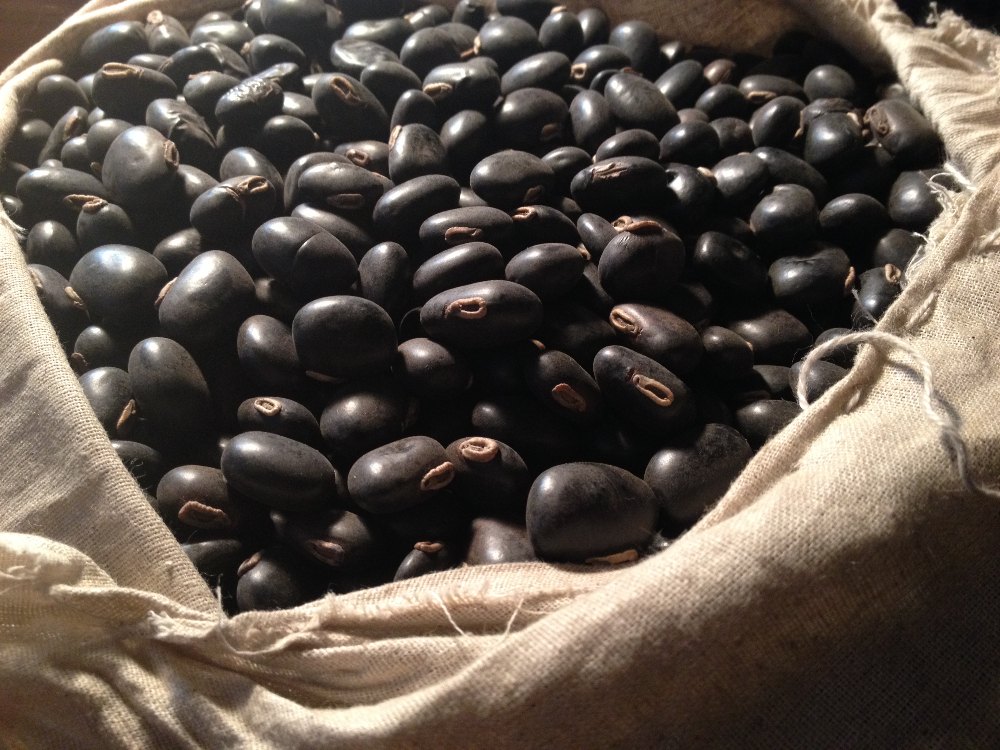 White And Black Mucuna Prurien Seed, Packaging Type: Bag