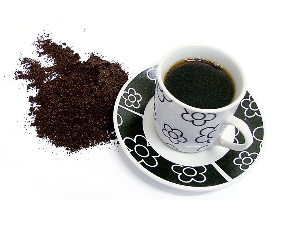 Premium Pure Filter Coffee-100%, Packaging Size: 10 Kg