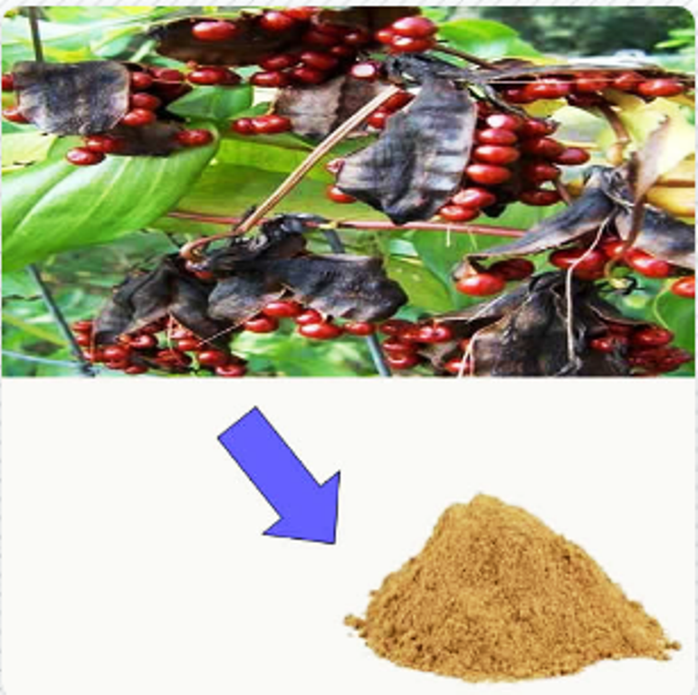 Brown Kalihari Extract, Packaging Type: Packet, Packaging Size: 50 G To 5 Kg