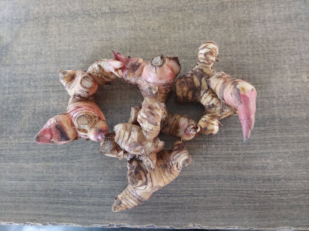 Kulanjan(alpinia galangal), Packet