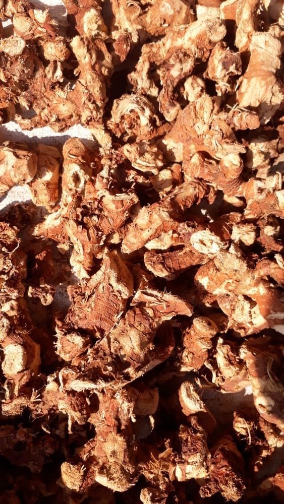 Galangal Root