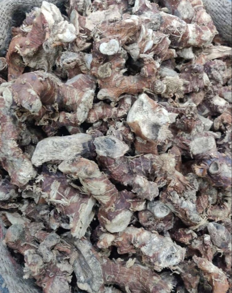 Loose Brown Khulanjan