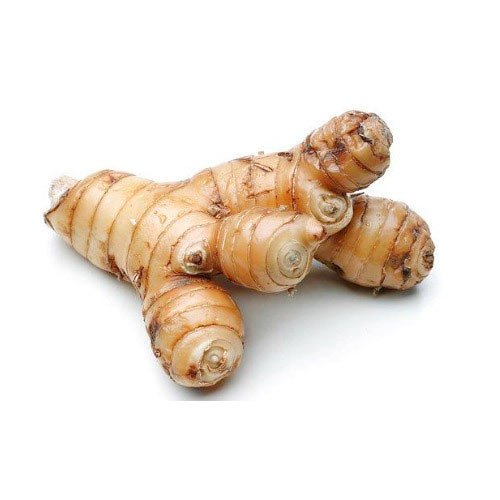 Olive Brown to Olive Green Galangal Big, Packaging Size: 1-50 Kg