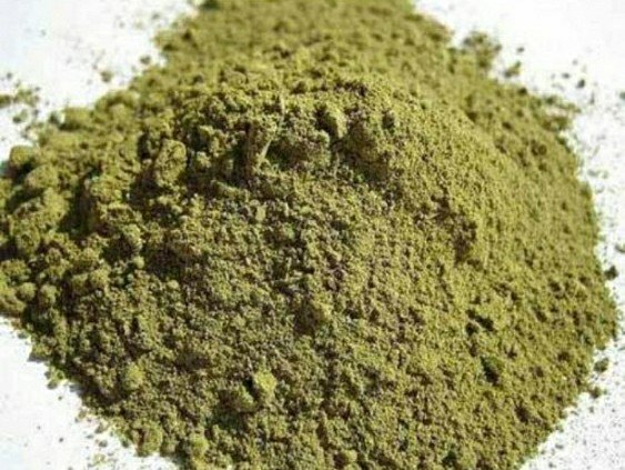 Tulsi Powder Ocimum Sanctum, Darsh Biotech, Packaging Size: 1Kg