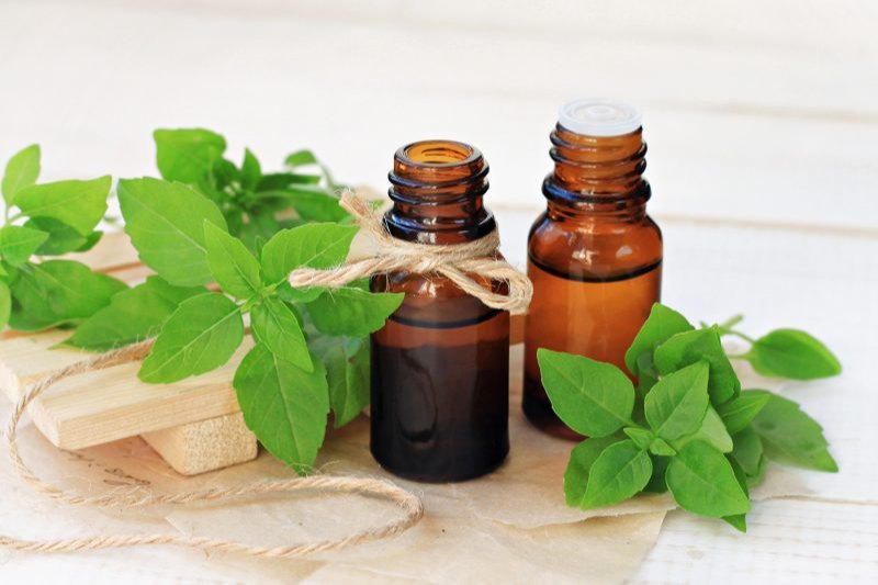 Ocimum Sanctum Tulsi Leaf Oil