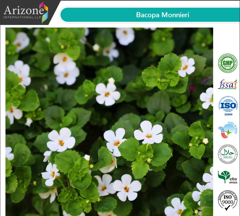 Bacopa Monnieri, Packaging Type: PP Liner Bag