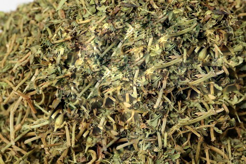 Jal Brahmi - Bacopa Monnieri