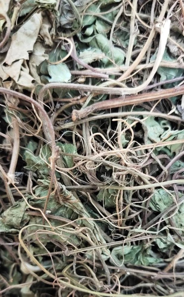Dried Brahmi Leaves, Packaging Type: Gunny Bag, Packaging Size: 1 Kg