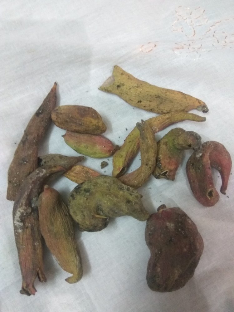 Karkatshringi Pistacia Integerrima, Packaging Type: P P Bag
