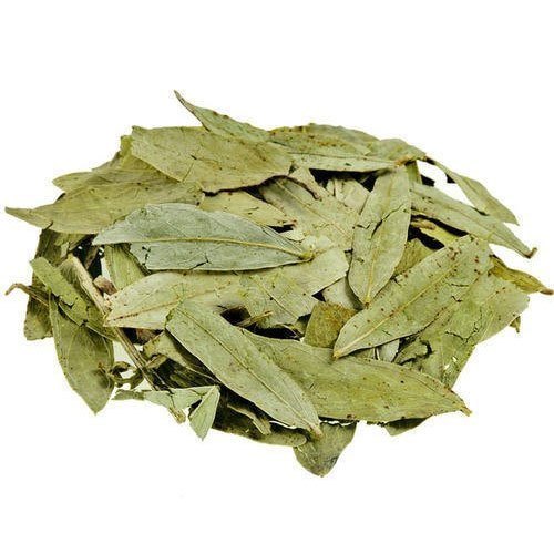 Cassia Angustifolia Leaves (Sunnamukki, Connamukki) (Sona Patti, Sanai Patti)