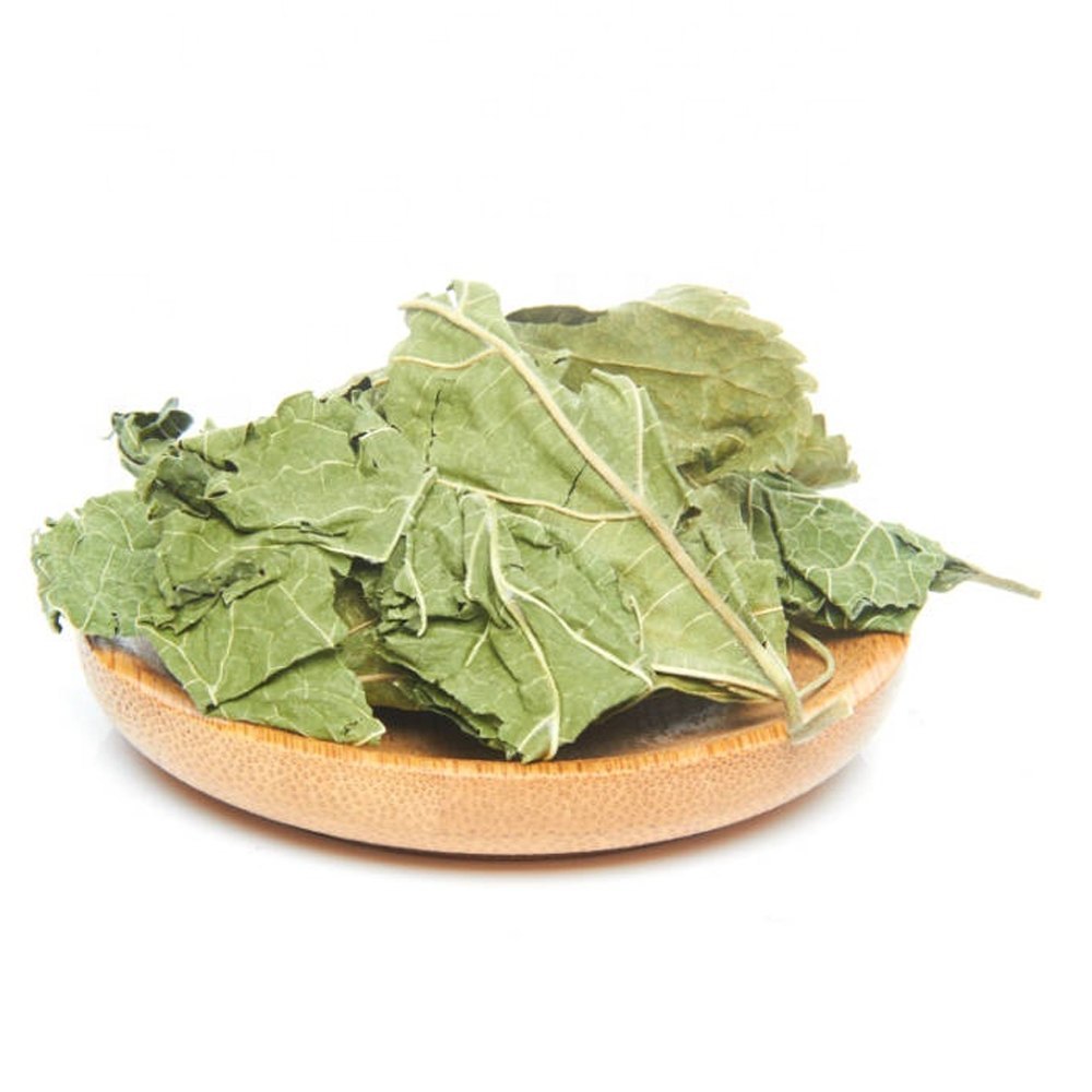 Dark Green Mulberry Dry Leaves, Packaging Type: PP Bag
