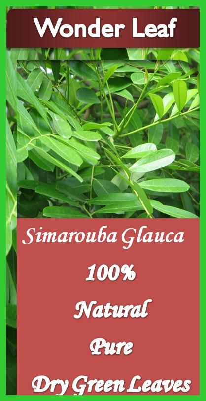 Simarouba Green Dried Leaves, Na