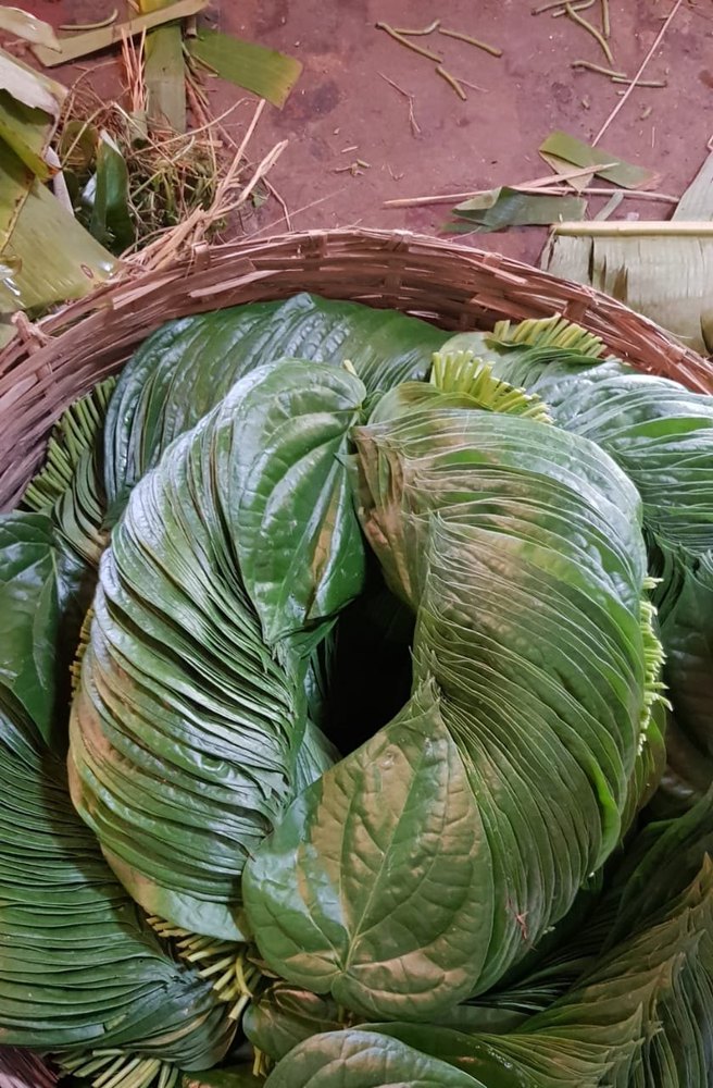 Green Kolkata Kali Bangla paan, Packaging Type: Box, Grade: A Grade