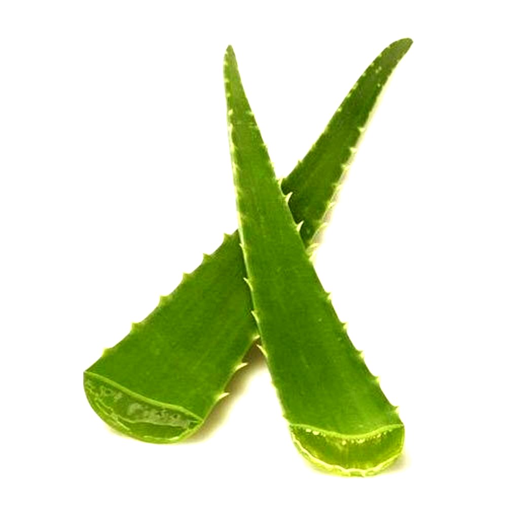 Green Aloe Vera Leaf, 100% Natural, Packaging Size: Loose