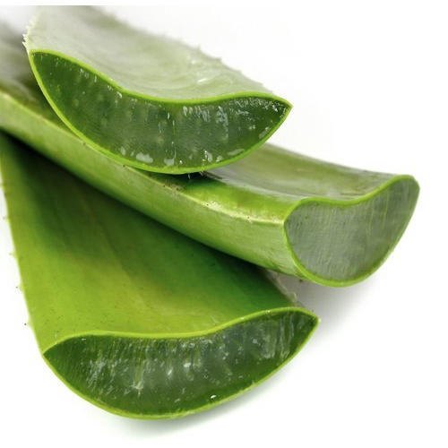 Own Brand Natural Aloe Vera Gel Bulk Packing, Type Of Packaging: Plastic Bottle, Herbal
