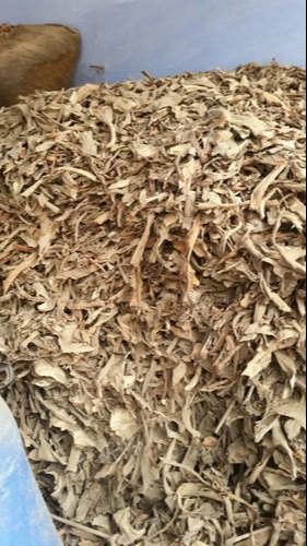 Aloevera Dry Leaf, Packaging Type: Bag, Packaging Size: 25 Kg